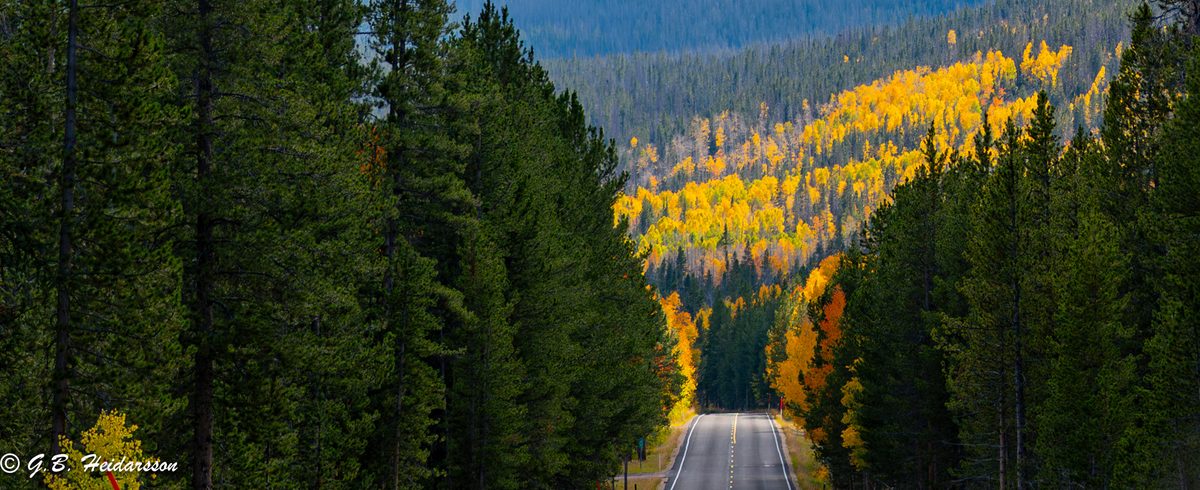 Fall aspen colors along a mountain road — photo by G.B. Heidarsson